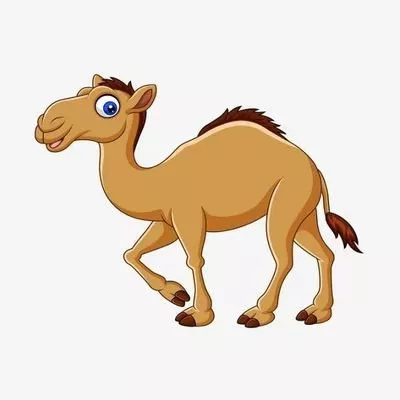 骆驼币(CAMEL)
