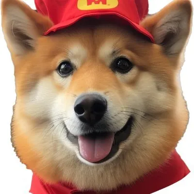 MCFLOKI