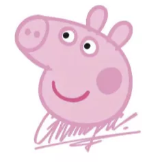 佩奇网络(PEPPA)
