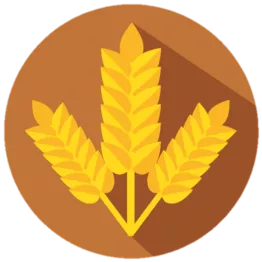 WHEAT